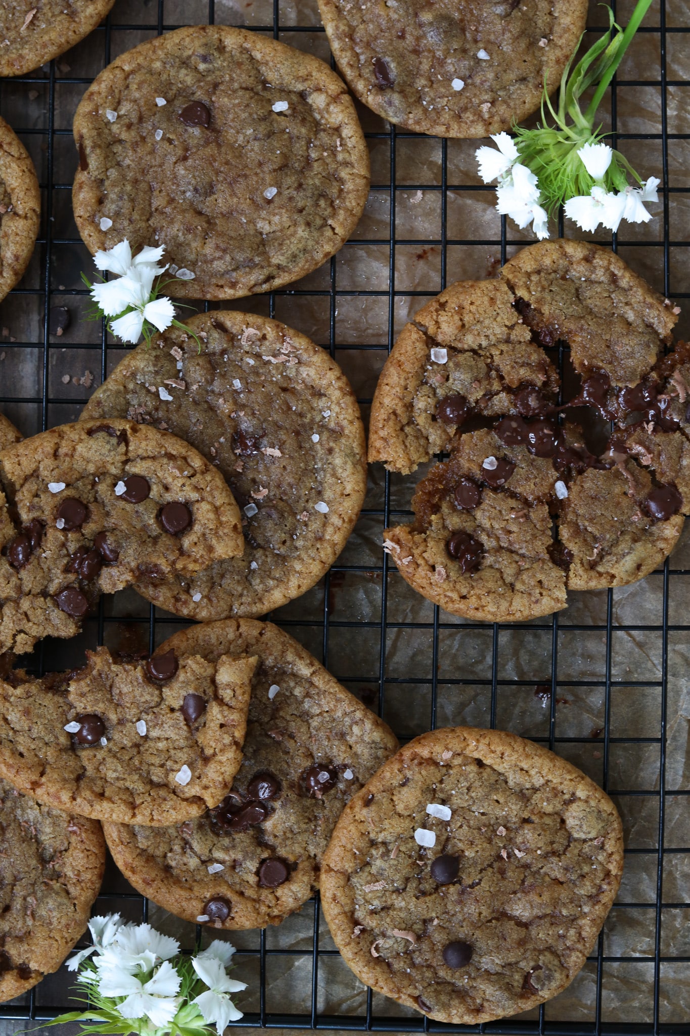 Originalrezept amerikanische Cookies, Vogelperspetive auf ein schwarzes Abkühlgitter, mit vielen Keksen