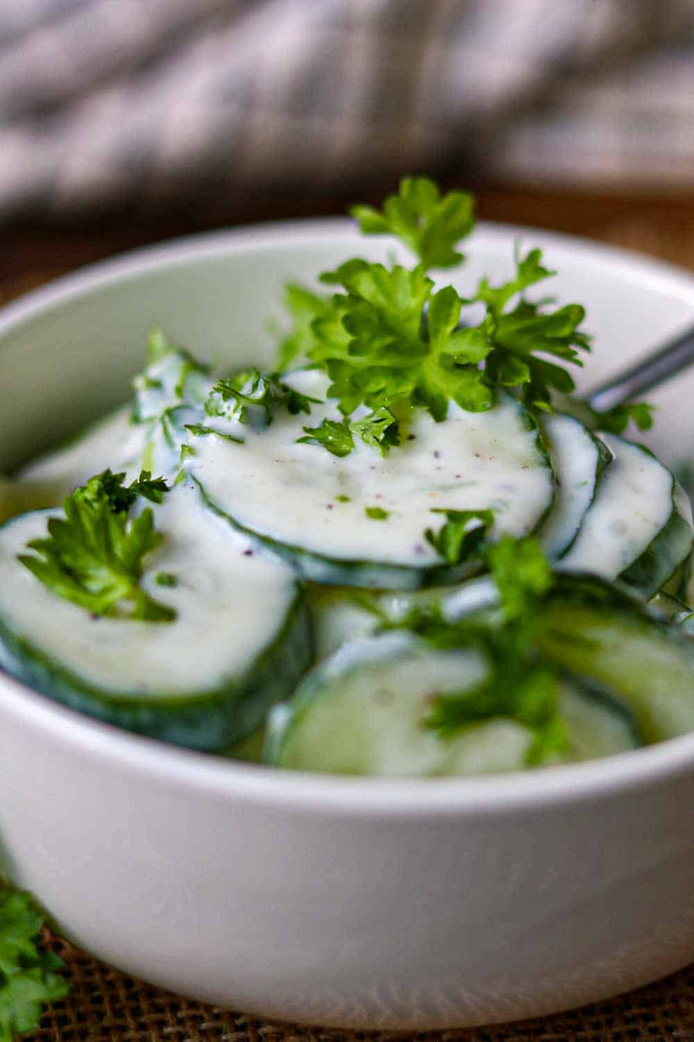 gurkensalat dressing mit Joghurt und Kräutern