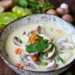 asiatische suppe mit kokosmilch serviert in schale